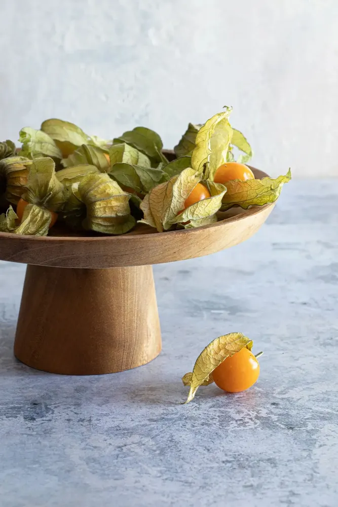 Plats et saladiers - Le Plat À Gâteaux Teak Root - L - BAZAR BIZAR LIVING