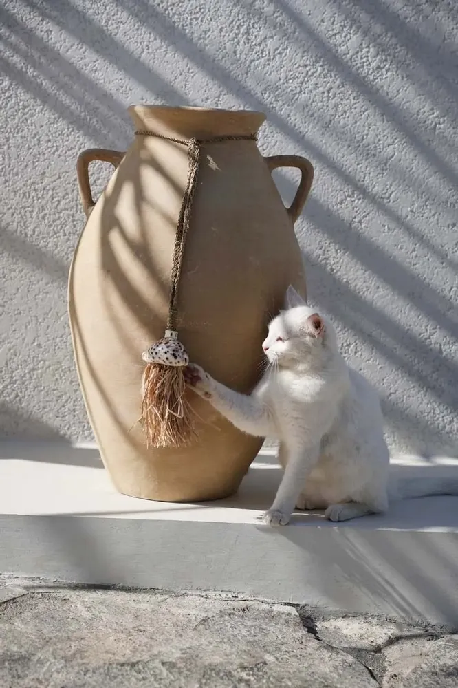 Decorative objects - The Raffia Lupina Tassel - Natural - BAZAR BIZAR LIVING