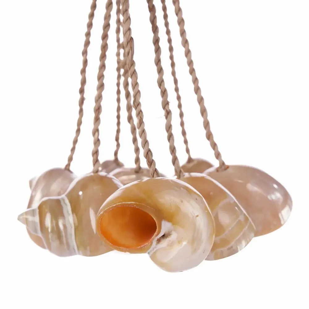 Decorative objects - The Conch Shell Tassel - Natural - BAZAR BIZAR LIVING