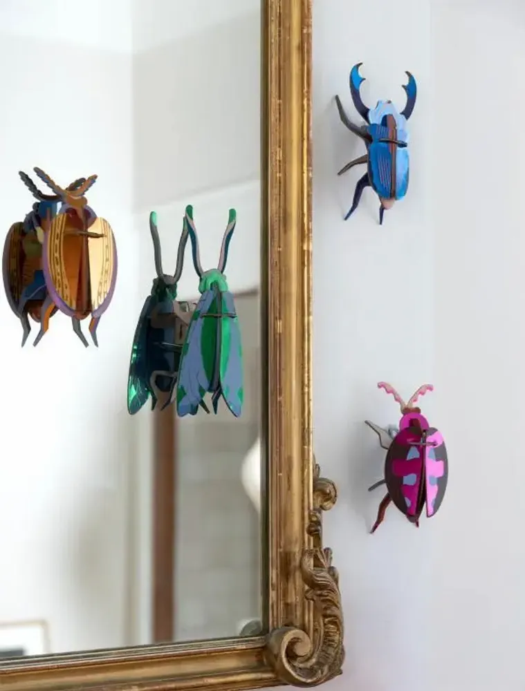 Other wall decoration - Butterflies & Beetles - STUDIO ROOF