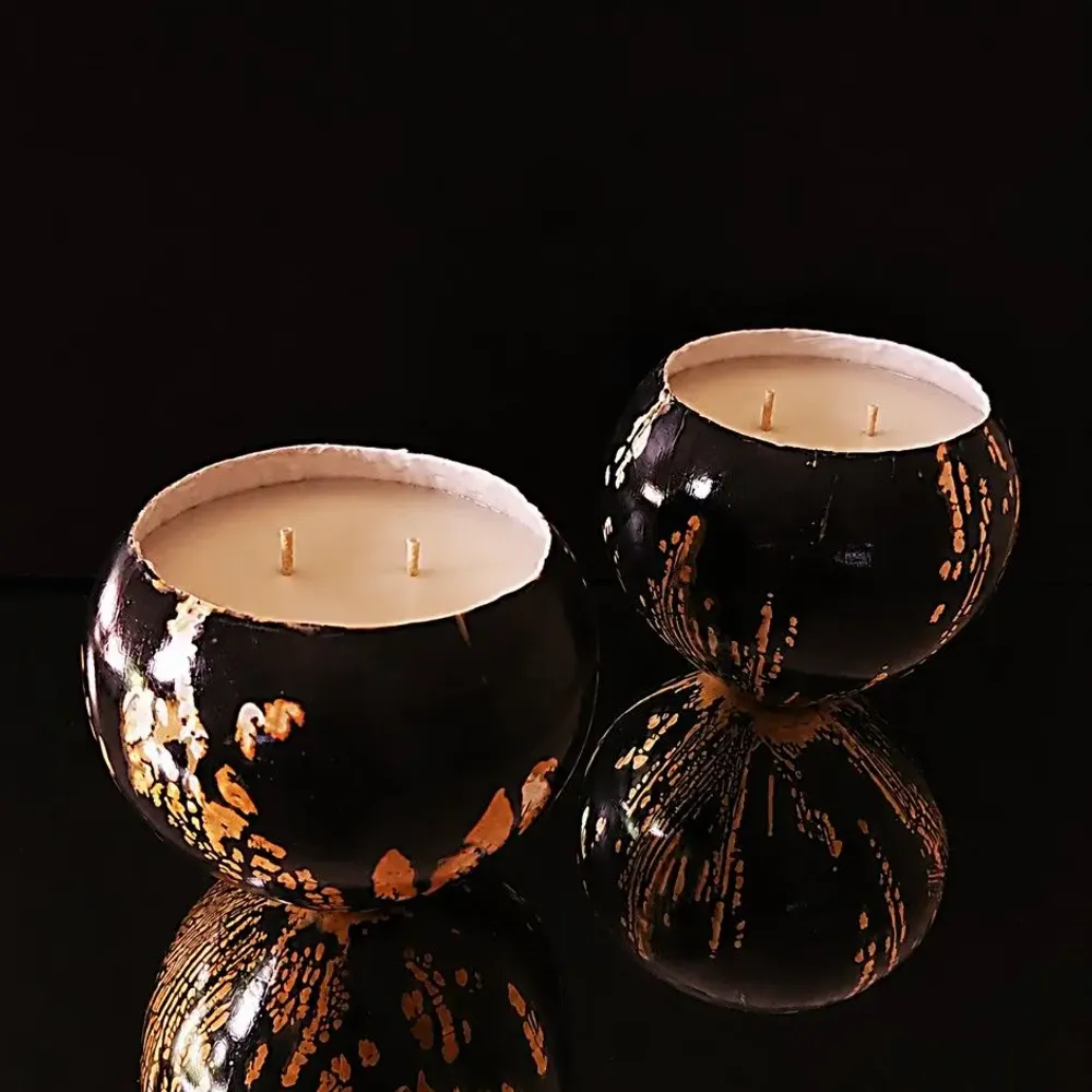 Objets de décoration - Coquille - PONPON CURIOSITAS