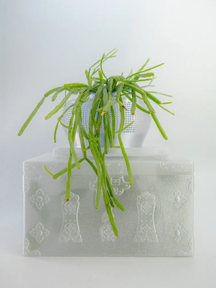 Objets design - SOHO - KMOMENT