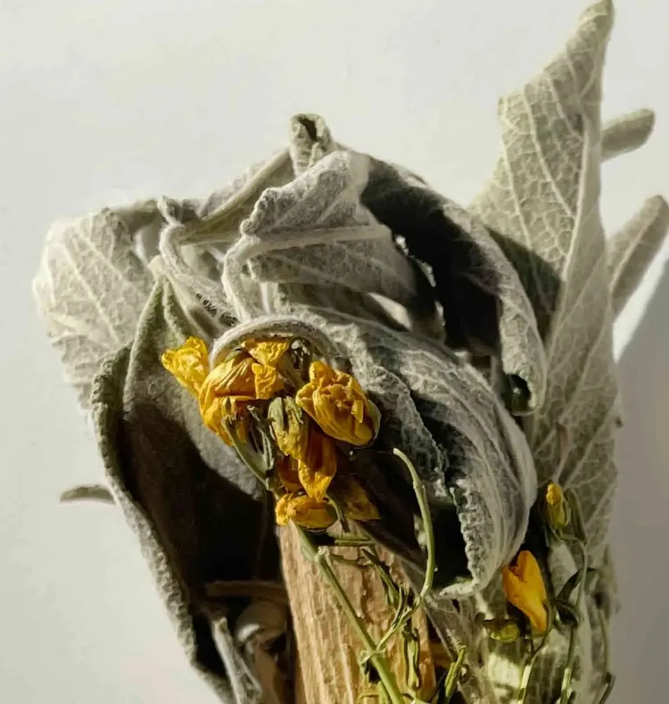 Cadeaux - Bouquet du petit Cerf - bâton de sauge bio - TOTEM NATURE
