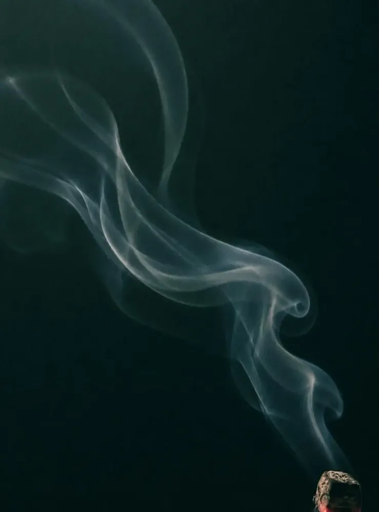 Home fragrances - The Wolf incense 100% plants - TOTEM NATURE