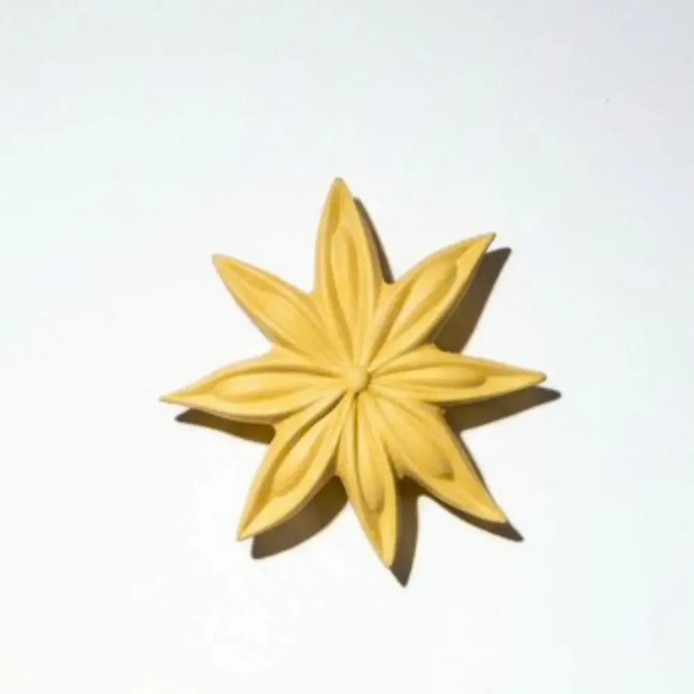Outdoor decorative accessories - JANIS (star anise) - MONOCHROMIC CERAMIC