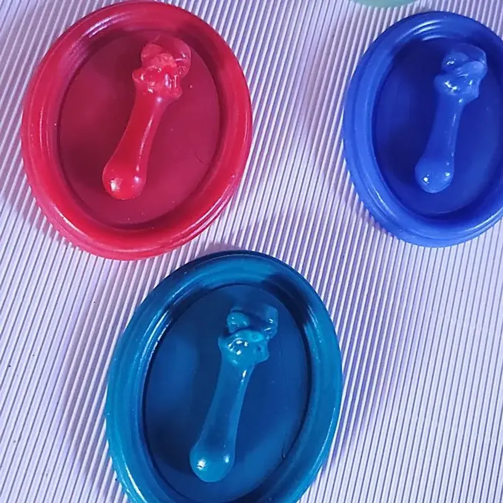 Gifts - Gallery Ostrich - scented wax medallion - PONPON CURIOSITAS