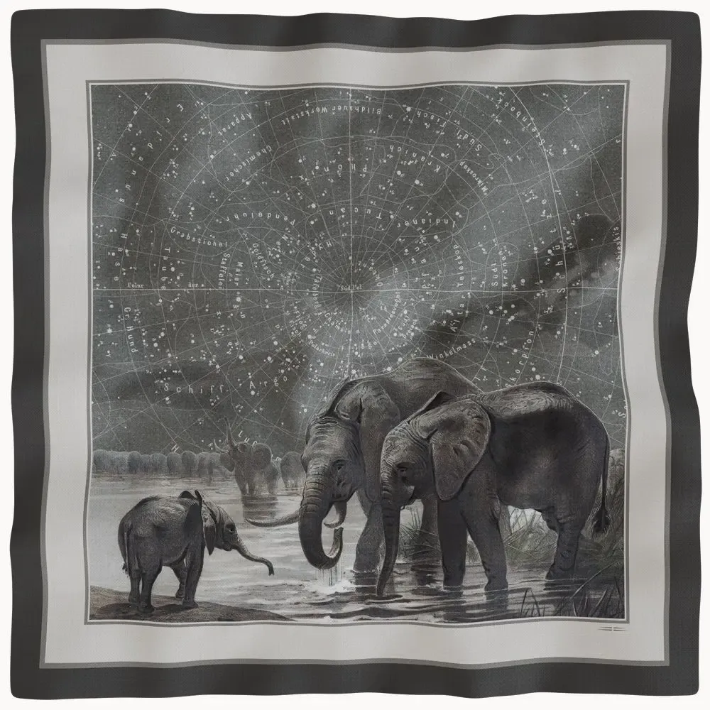 Foulards et écharpes - Foulard en Soft Twill - MAOULI