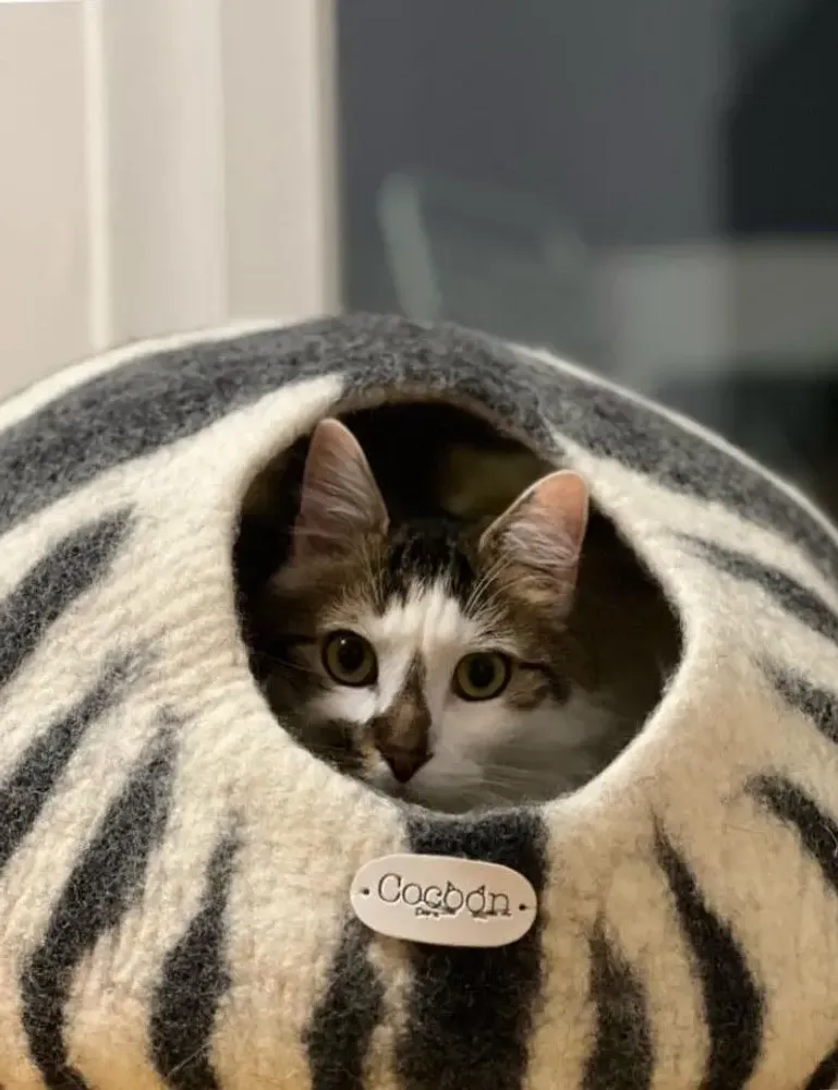 Rugs - Cat Cocoon, Cat Cave, Cat Sleeping, Cat Sleeping, Cat Basket, Igloo, Cat House, Bed, Cabin, Cat House - COCOON PARIS