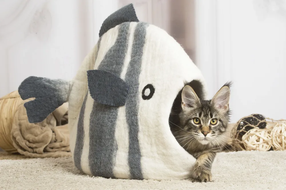 Design objects - Cat basket, cat bedding, sleeping bag for cats, cat cave, cat bed, children's room storage, storage. - COCOON PARIS