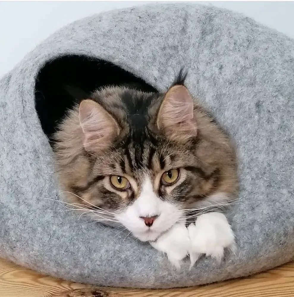 Tapis - Cocon pour chat et chien en laine feutrée fait main. - COCOON PARIS