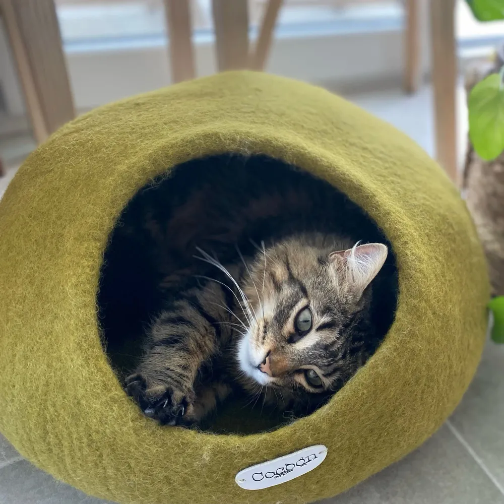 Tapis - Cocon pour chat et chien en laine feutrée fait main. - COCOON PARIS