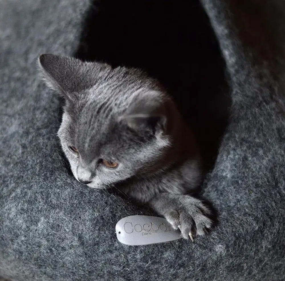 Tapis - Cocon pour chat et chien en laine feutrée fait main. - COCOON PARIS