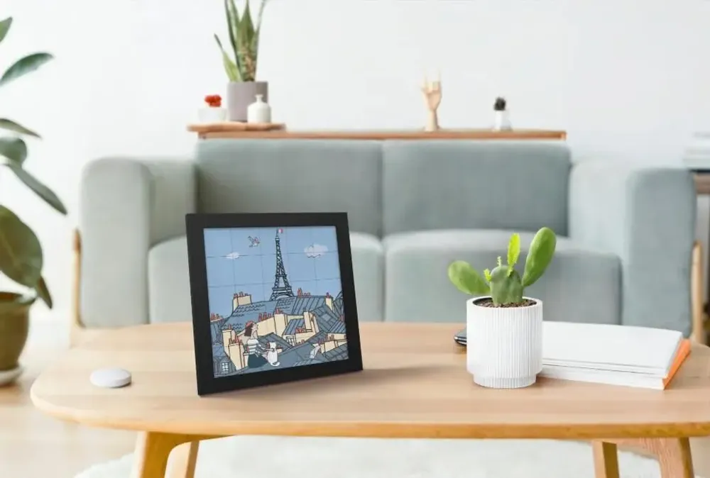 Affiches - BIRDIE - LES TOITS DE PARIS - UNITED SQUARE POSTER