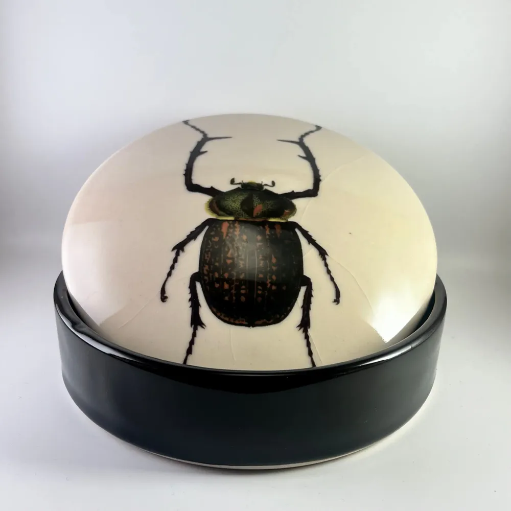 Glass - CERAMIC JARS - JEANNE KOEPP