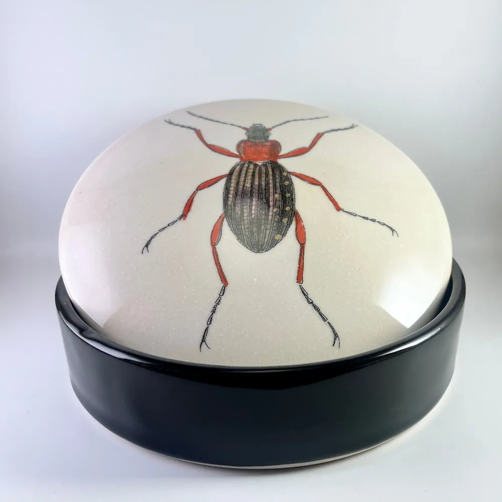 Glass - CERAMIC JARS - JEANNE KOEPP