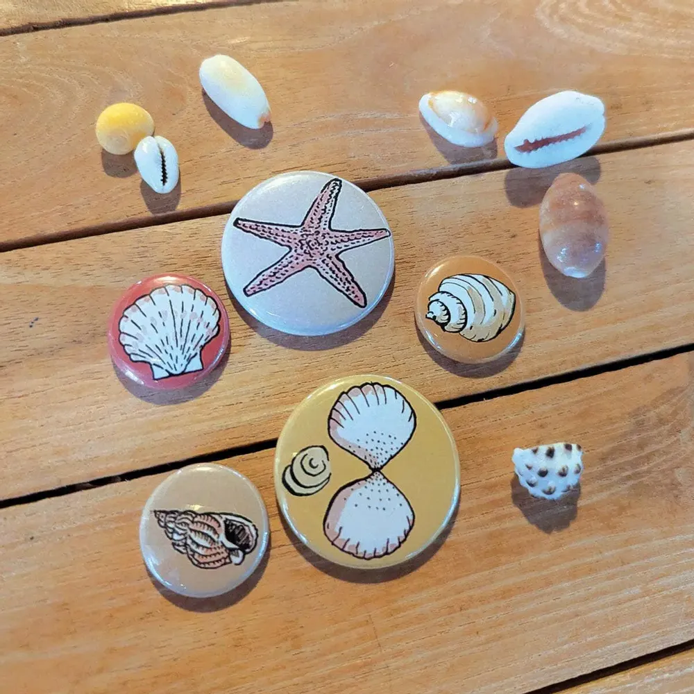 Design objects - Set of 5 seashell magnets - TABLE À CARTES