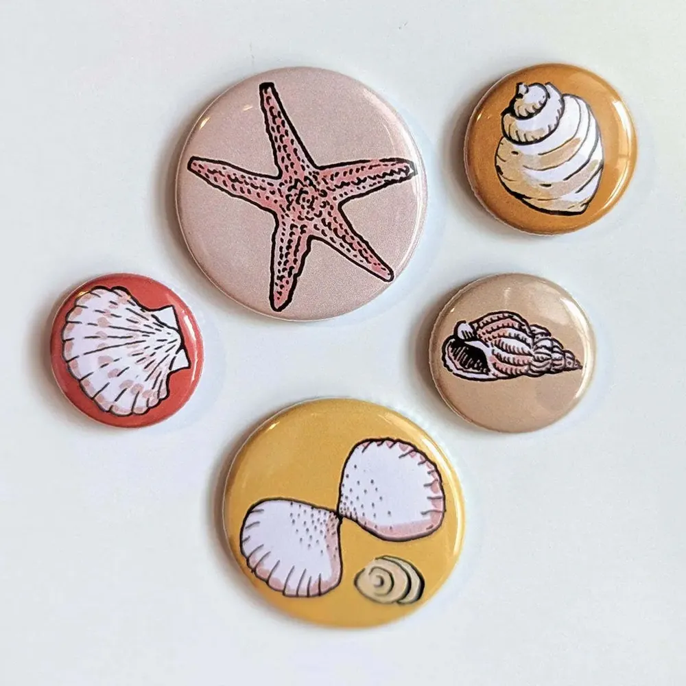 Design objects - Set of 5 seashell magnets - TABLE À CARTES