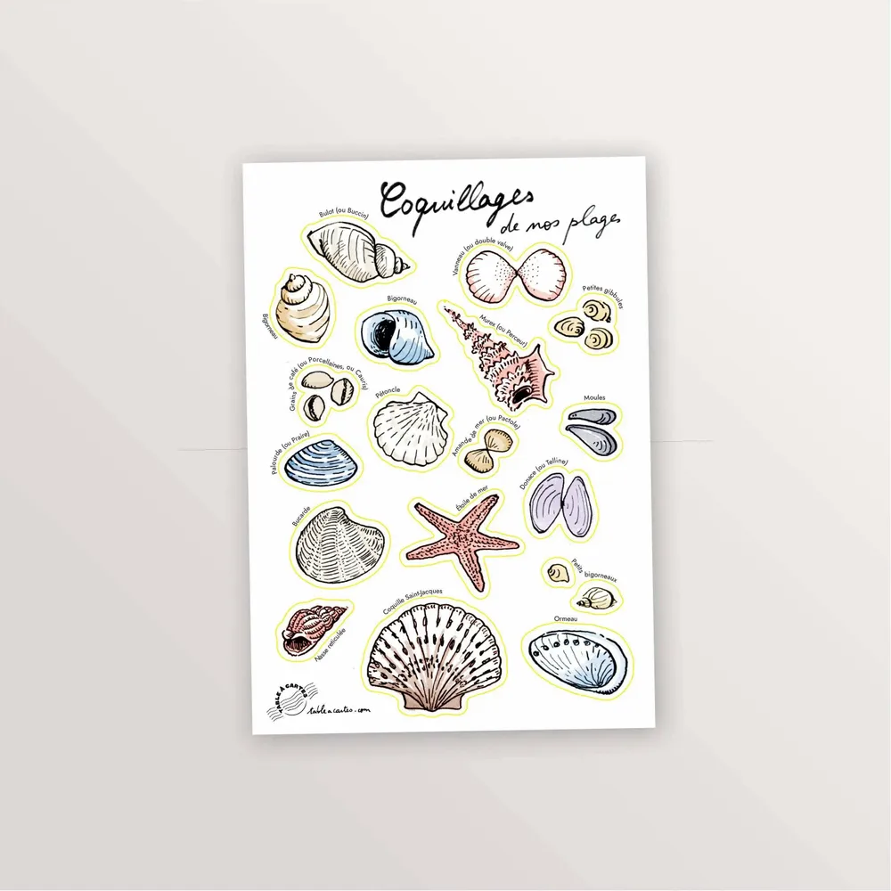 Papeterie bureau - 2 planches de stickers A5 : Oiseaux et Coquillages - TABLE À CARTES