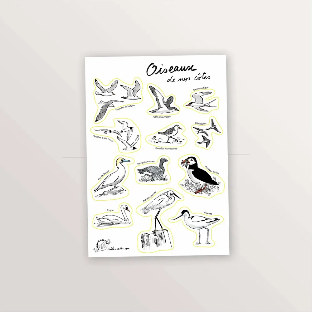 Papeterie bureau - 2 planches de stickers A5 : Oiseaux et Coquillages - TABLE À CARTES