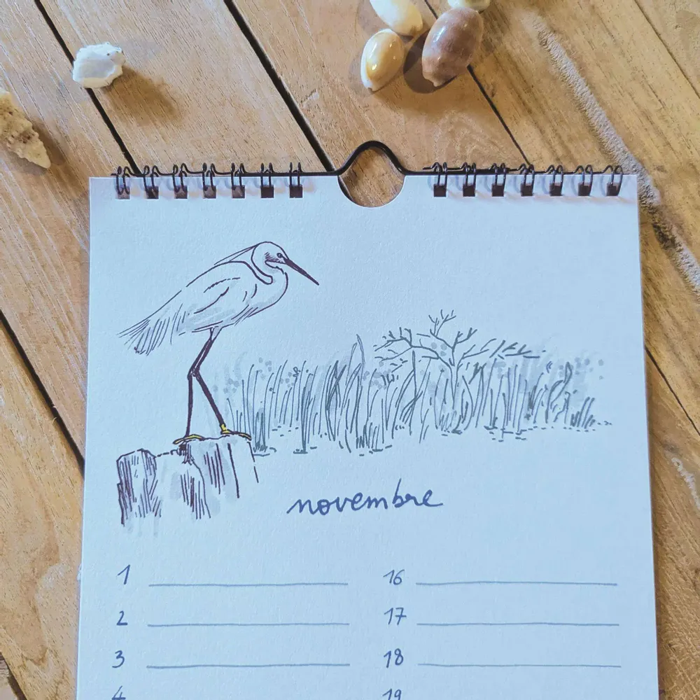 Papeterie bureau - Calendrier perpétuel - Oiseaux de bord de mer - TABLE À CARTES