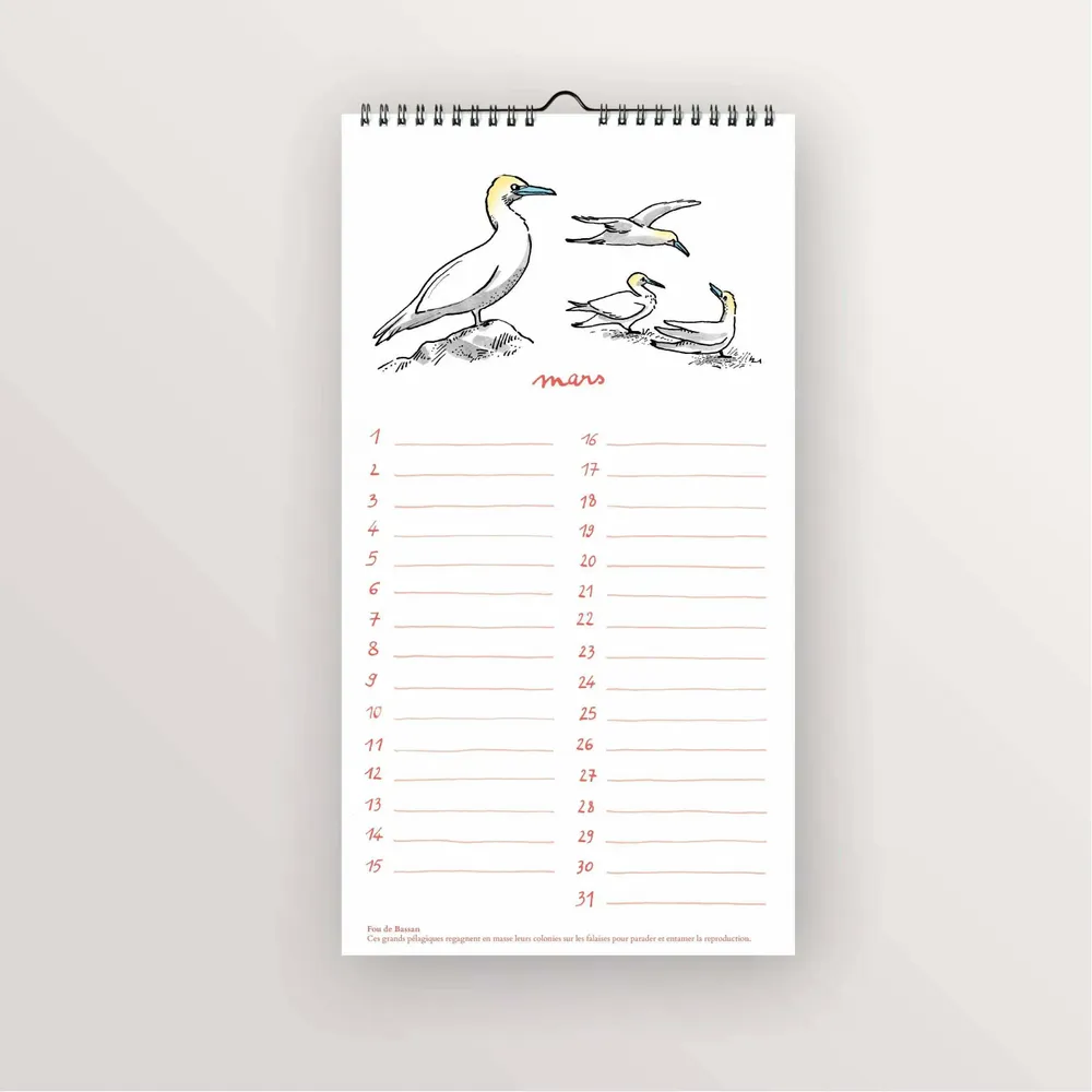 Papeterie bureau - Calendrier perpétuel - Oiseaux de bord de mer - TABLE À CARTES