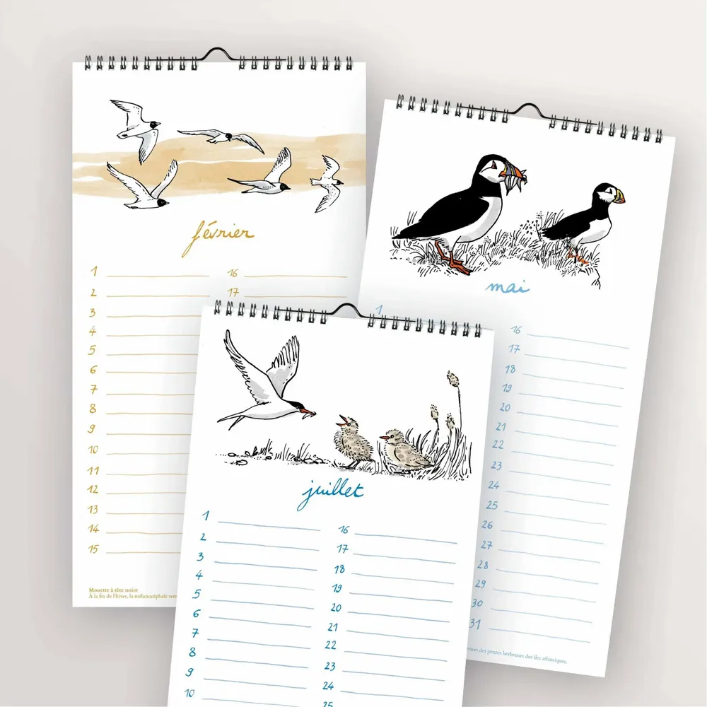 Papeterie bureau - Calendrier perpétuel - Oiseaux de bord de mer - TABLE À CARTES