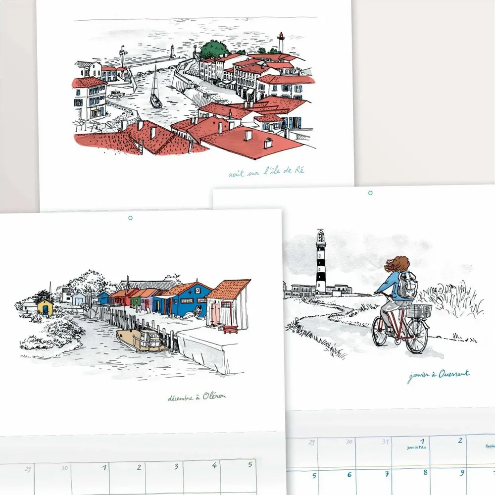 Range-tout - Calendrier mural 2027 illustré – D'île en île - A3 - TABLE À CARTES
