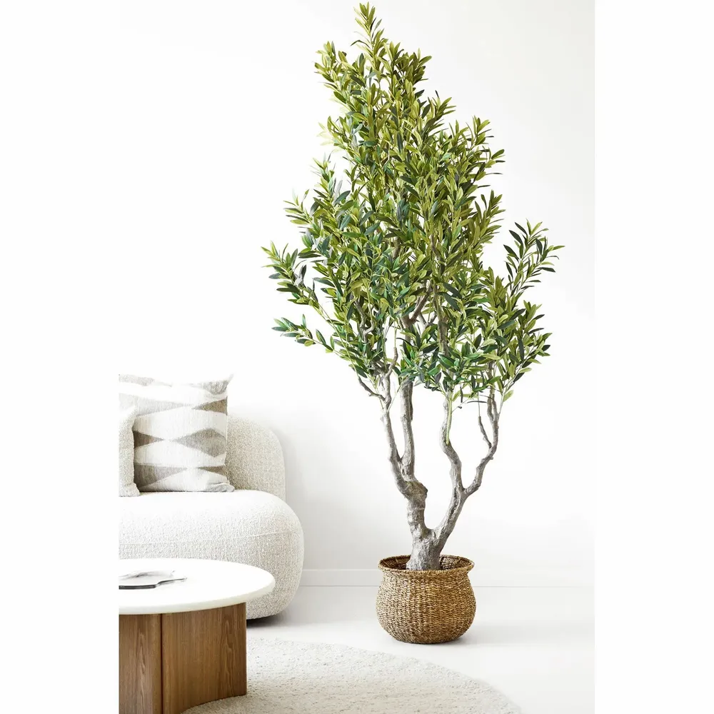 Décorations florales - Olivier, arbre artificiel, vert, H : 220 cm - HOUSE NORDIC