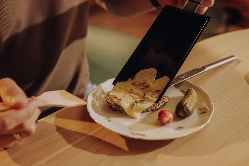Food processor - MARY MELT - HÖFATS GMBH