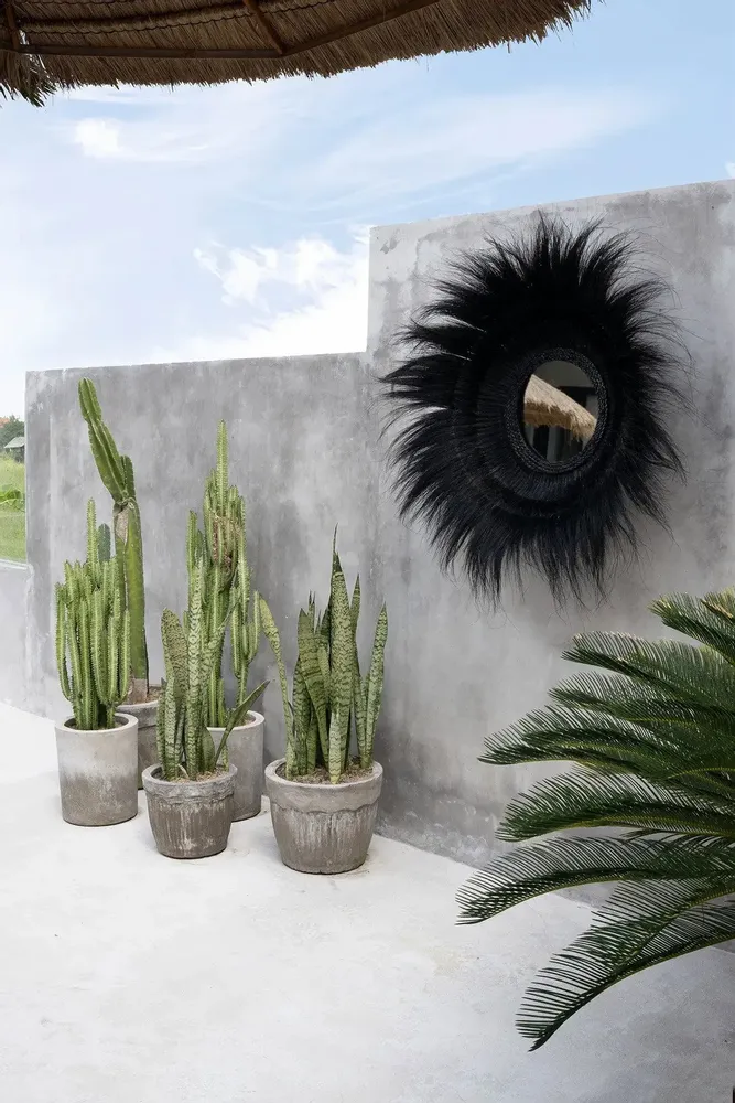 Mirrors - The Sunken Forest Mirror - Black - BAZAR BIZAR LIVING