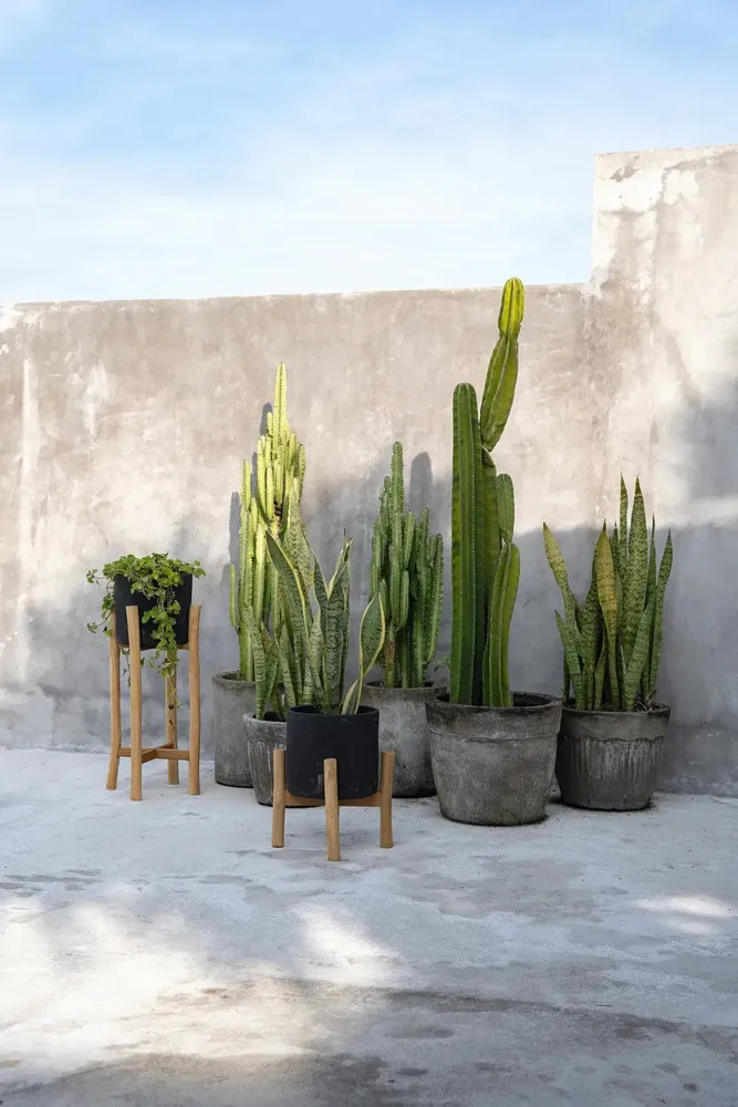 Flower pots - The Charcoal Low - Black Natural - S - BAZAR BIZAR LIVING