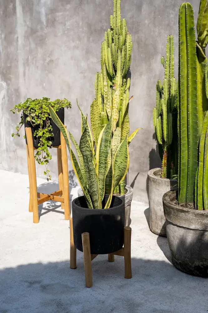 Flower pots - The Charcoal Low - Black Natural - S - BAZAR BIZAR LIVING
