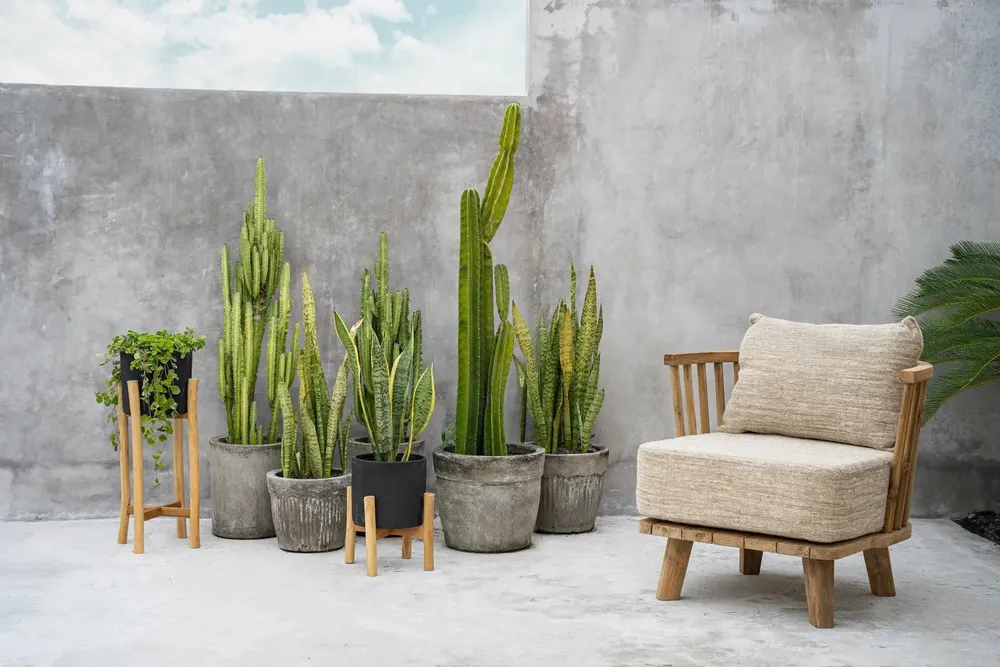 Flower pots - The Charcoal Low - Black Natural - S - BAZAR BIZAR LIVING
