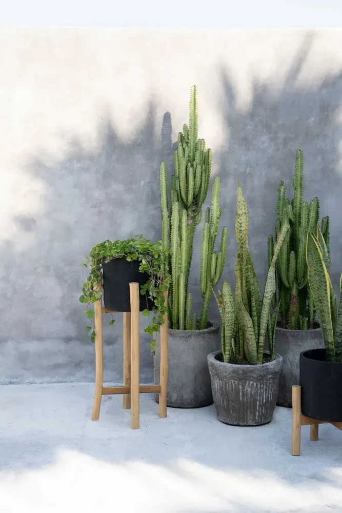 Flower pots - The Charcoal High - Black Natural - L - BAZAR BIZAR LIVING