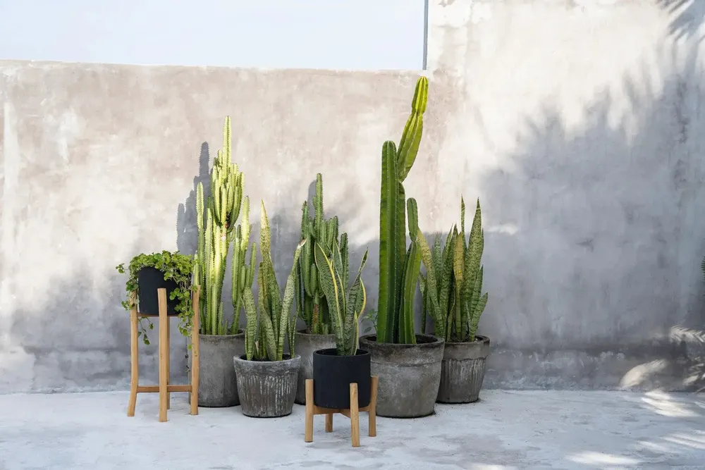 Flower pots - The Charcoal High - Black Natural - L - BAZAR BIZAR LIVING