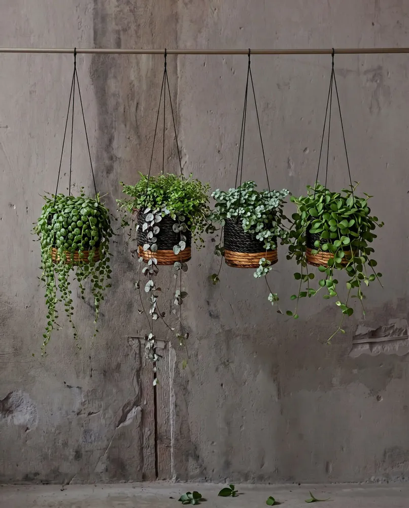 Flower pots - The Banana Plant Hanger - Natural Black - S - BAZAR BIZAR LIVING