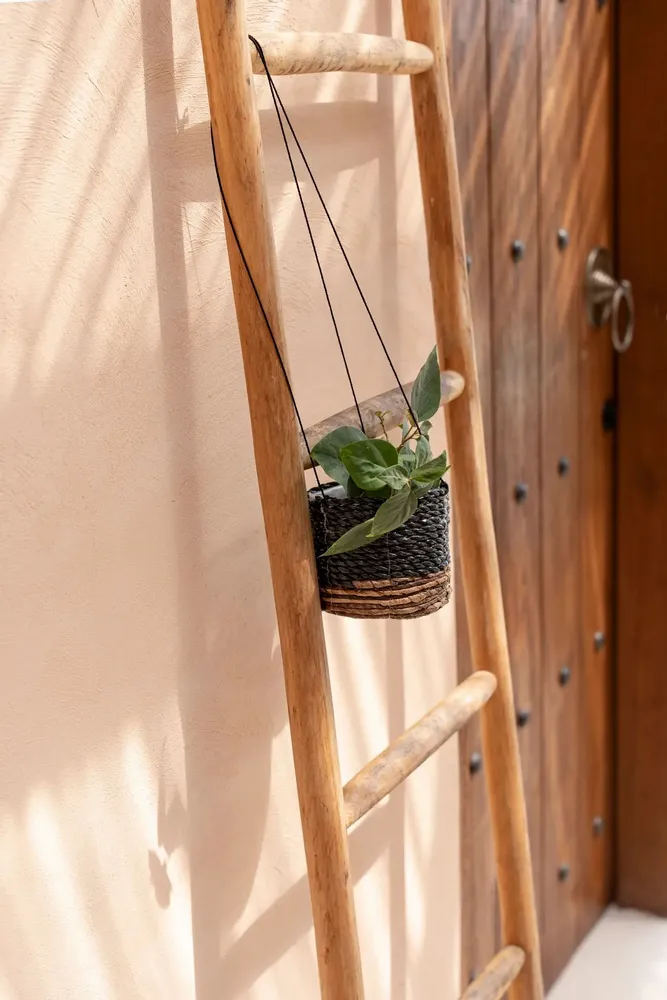 Flower pots - The Banana Plant Hanger - Natural Black - S - BAZAR BIZAR LIVING
