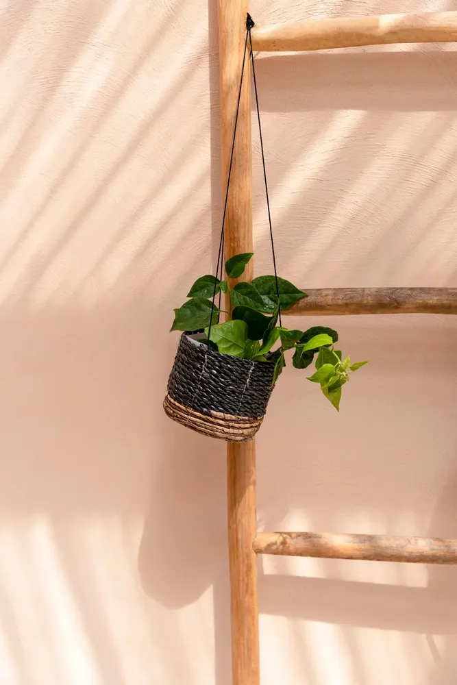 Flower pots - The Banana Plant Hanger - Natural Black - S - BAZAR BIZAR LIVING