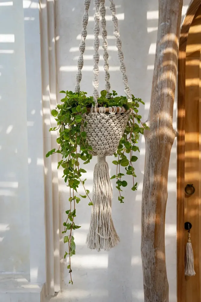 Vases - The Twisted Macramé Plant Holder - Natural White - M - BAZAR BIZAR LIVING