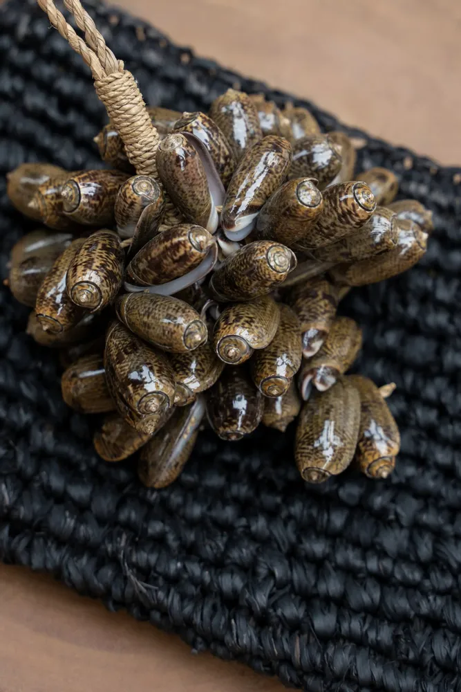 Decorative objects - The Brown Cowrie Shell Tassel - BAZAR BIZAR LIVING
