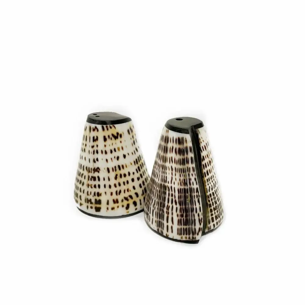 Couverts & ustensiles de cuisine - Le Salt & Peppa Shell - Set de 2 Salière et Poivrière - BAZAR BIZAR LIVING