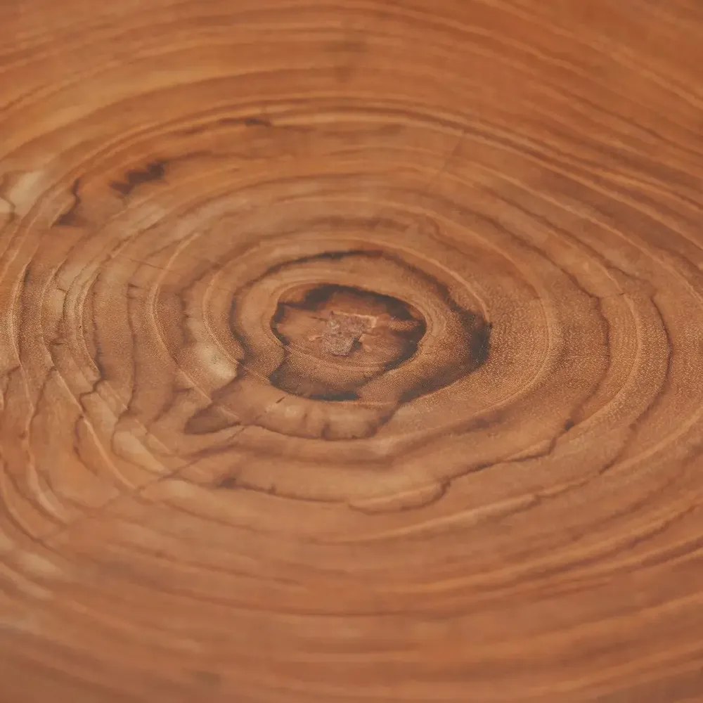 Assiettes au quotidien - L’Assiette Teak Root Organic - BAZAR BIZAR LIVING