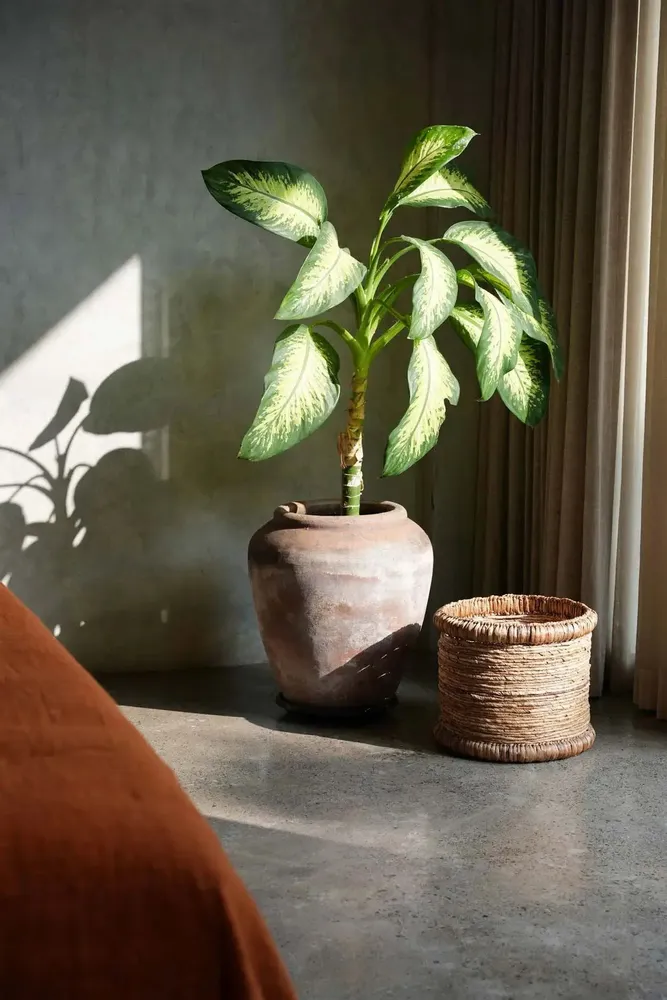 Baskets - The Chuka Basket - BAZAR BIZAR LIVING