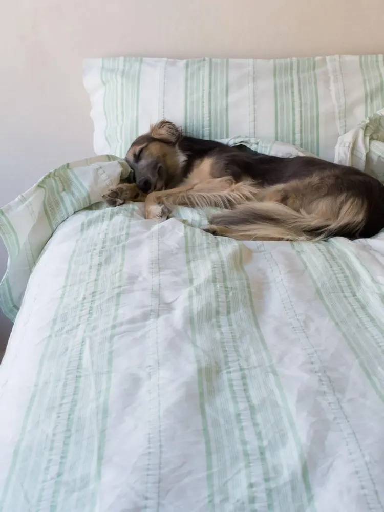 Beds - striped duvet cover - white with pistachio green - OTTOMANIA