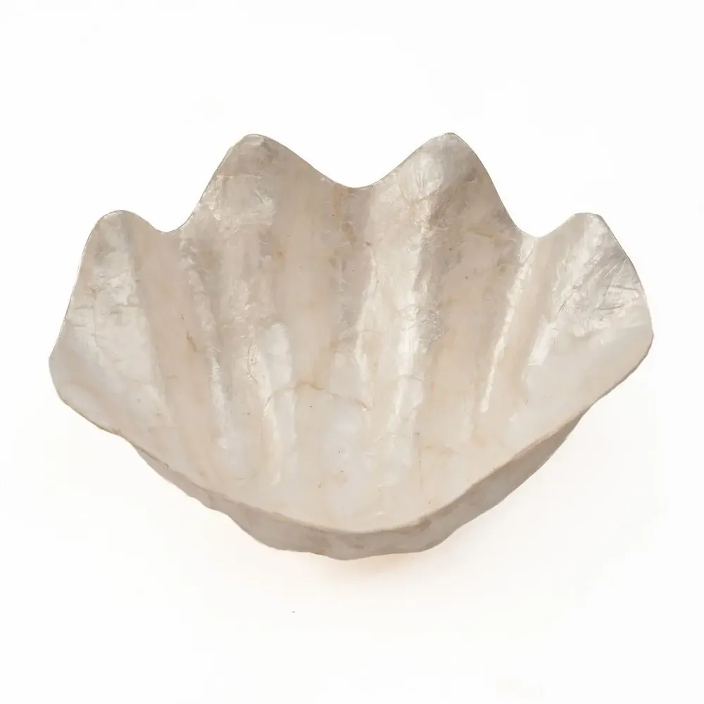 Soap dishes - The Mother of Pearl Soap Dish - White - M - BAZAR BIZAR LIVING