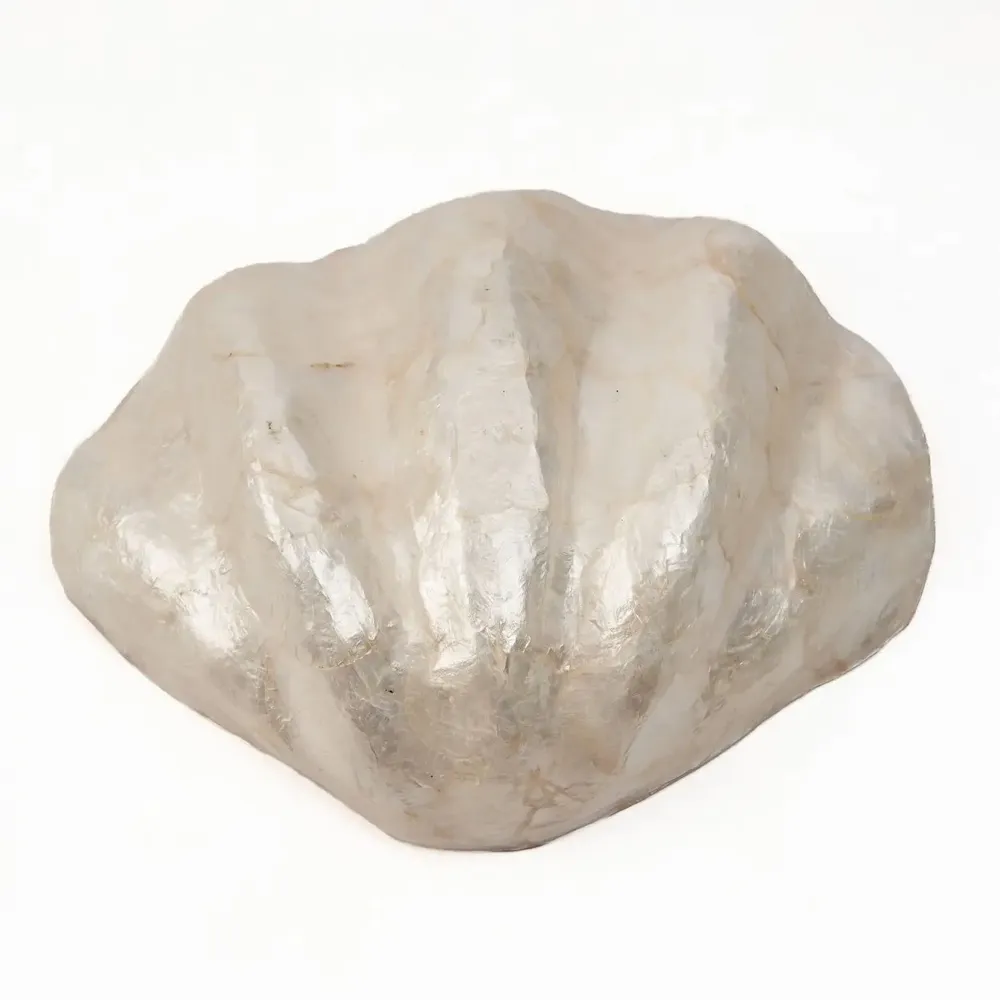Soap dishes - The Mother of Pearl Soap Dish - White - M - BAZAR BIZAR LIVING