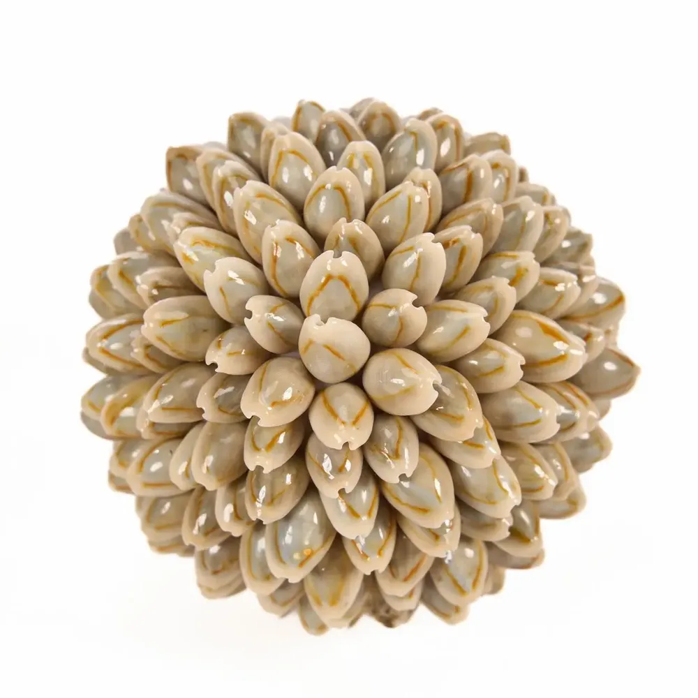 Decorative objects - The Oluolu Shell Ball - S - BAZAR BIZAR LIVING