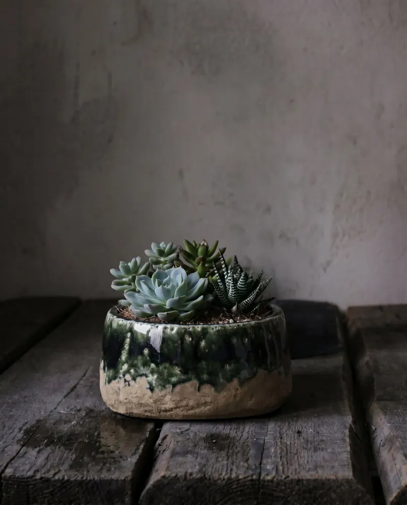 Pots de fleurs - Le Cache-Pot Bol Moss - Vert Béton - Bas - BAZAR BIZAR LIVING