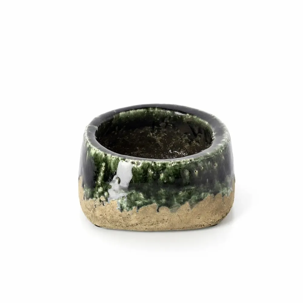Pots de fleurs - Le Cache-Pot Bol Moss - Vert Béton - Bas - BAZAR BIZAR LIVING