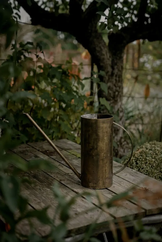 Garden accessories - The Golden Pour - Gold - BAZAR BIZAR LIVING